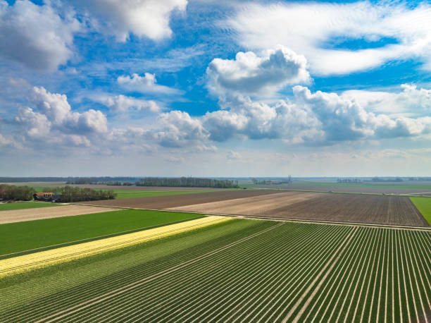 New Campaign – Flevoland Shapes the Future - Innovally insight article